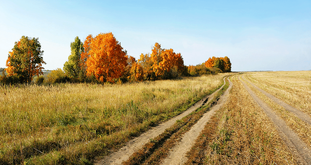 goldenautumn